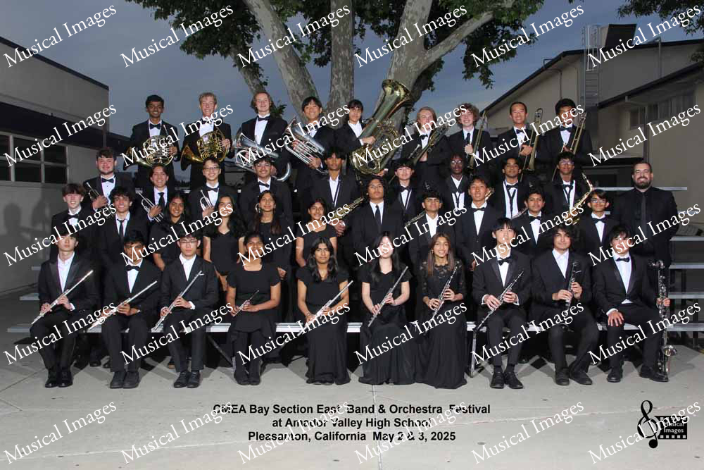 Musical Images